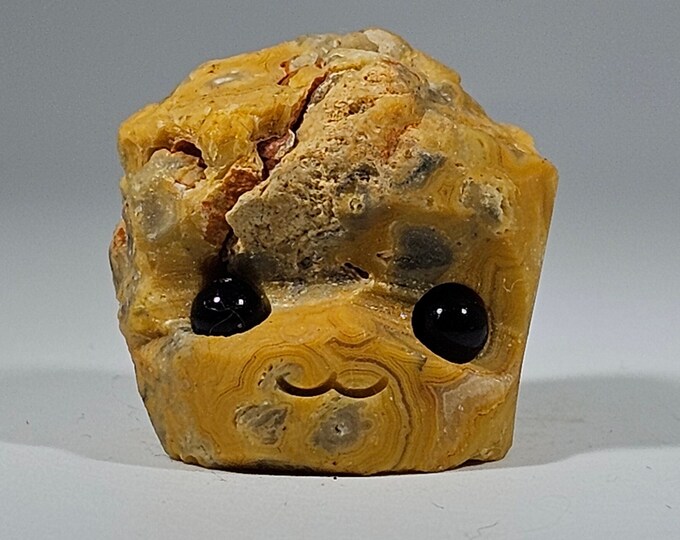 Crazy Lace Agate Pet Rock Carving