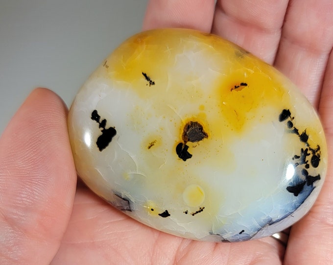 Dendritic Agate Palm Stone
