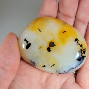 Dendritic Agate Palm Stone