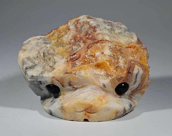 Crazy Lace Agate Pet Rock Carving