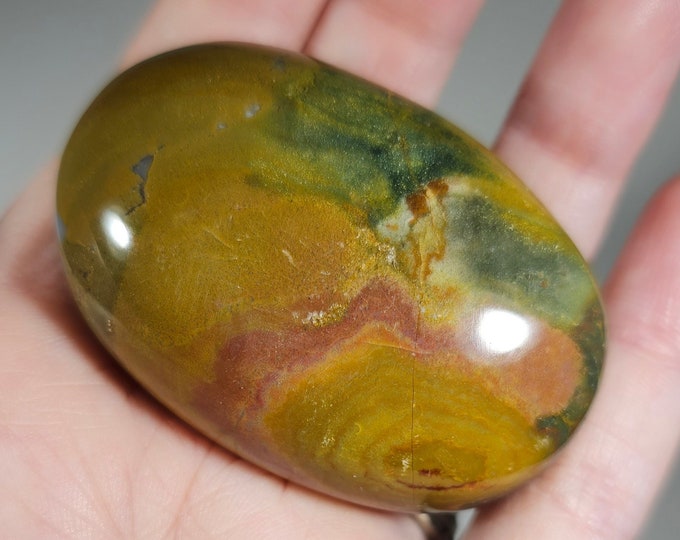 Colorful Ocean Jasper Palm Stone