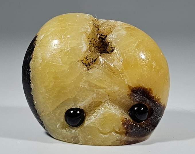 Septarian Pet Rock Carving