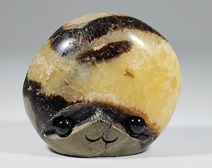 Septarian Pet Rock Carving