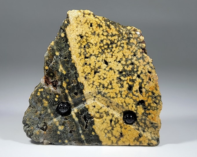 Ocean Jasper Pet Rock Carving