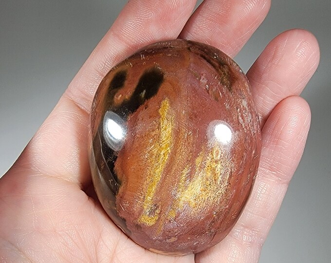 Colorful Ocean Jasper Palm Stone