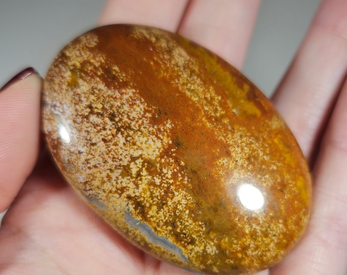 Colorful Ocean Jasper Palm Stone