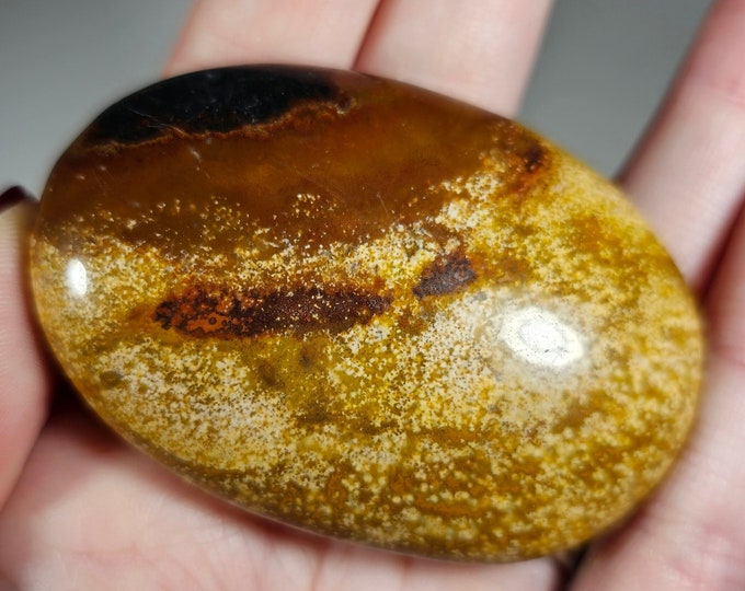 Colorful Ocean Jasper Palm Stone