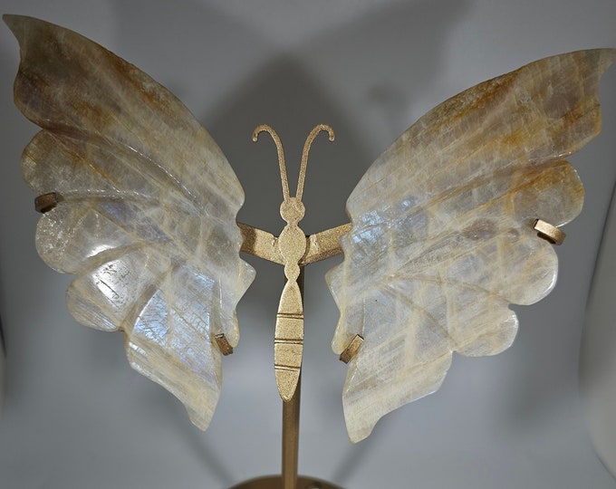 High Flash Moonstone Butterfly Wings