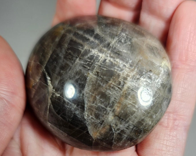 Black Moonstone Palm