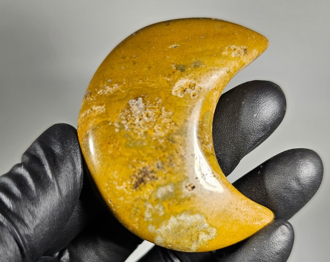 Ocean Jasper Moon Palm Stone