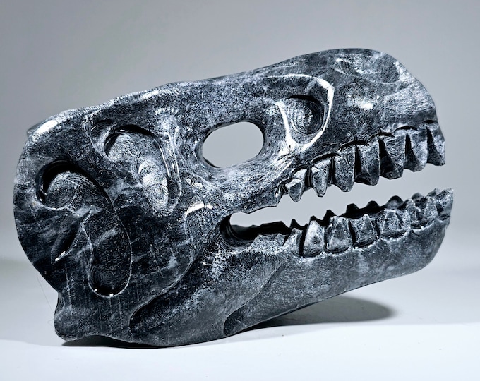 Black Jade Dinosaur Skull Carving