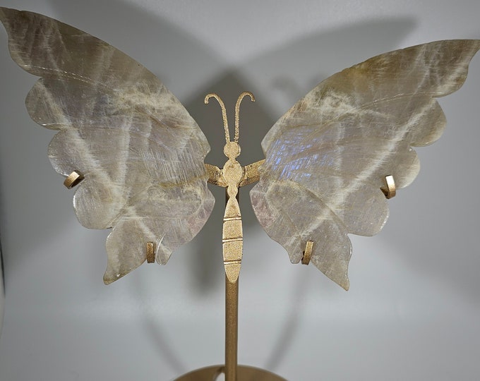 High Flash Moonstone Butterfly Wings