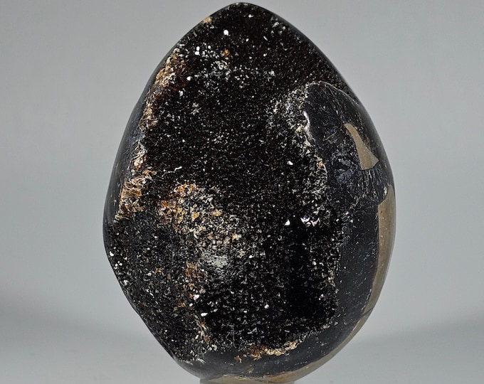 Septarian Egg