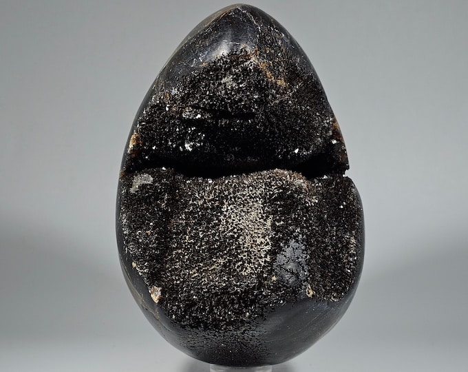Septarian Egg