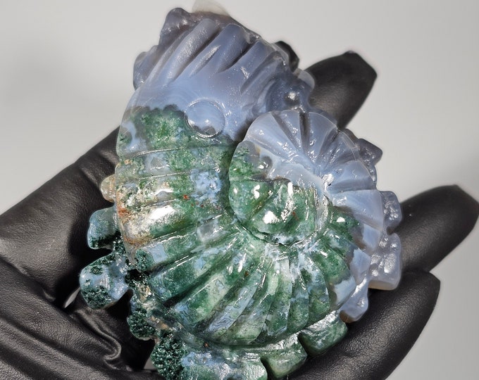 Moss Agate Nautilus Carving