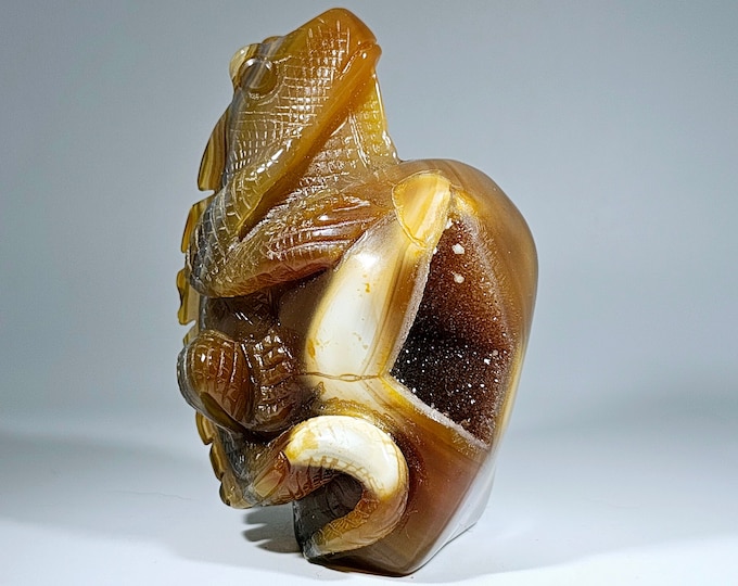 Druzy Agate Lizard Carving With Orca