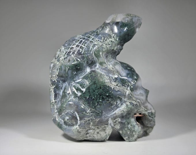 Druzy Moss Agate Skull with Lizard Carving
