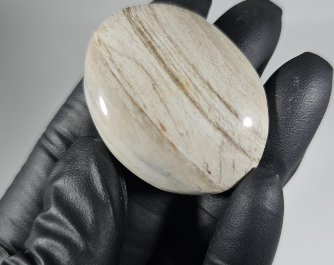 Petrified Wood Palm Stone