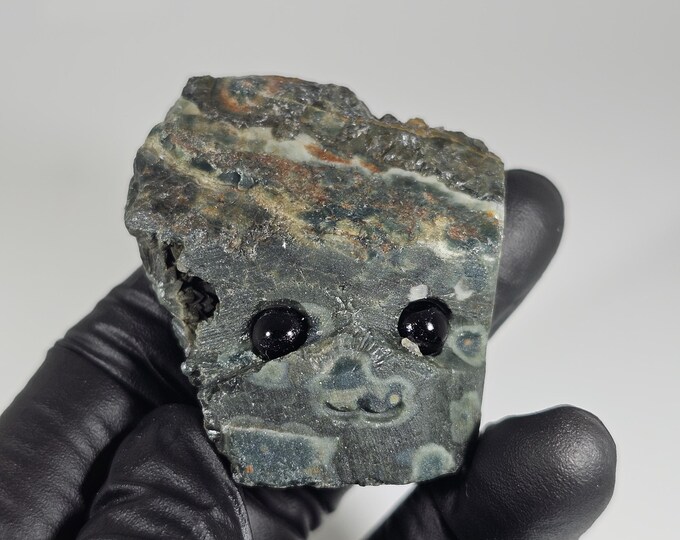 Ocean Jasper Pet Rock Carving