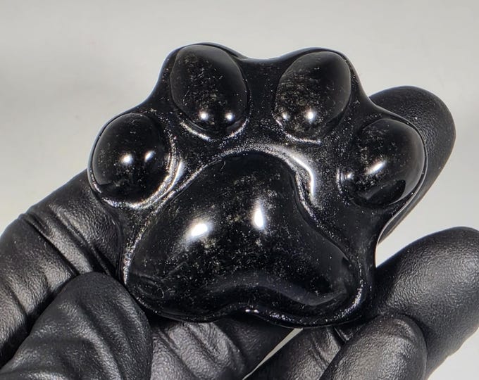 Obsidian Cat Paw Carving 1.6"