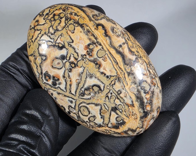 Leopard Skin Jasper Palm Stone