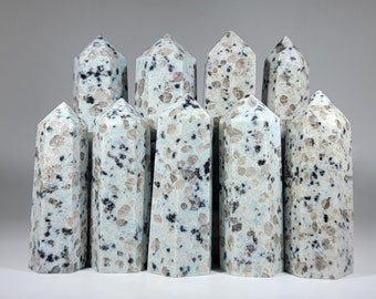 May include: A group of nine white and black speckled crystal points, also known as Dalmatian Jasper, arranged in a row on a gray background.