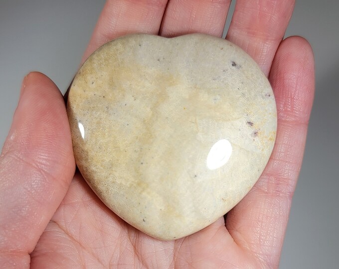 Fossilized Coral Heart Carving