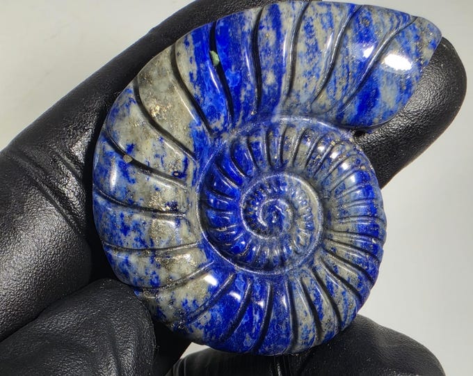 Lapis Lazuli Ammonite Carving