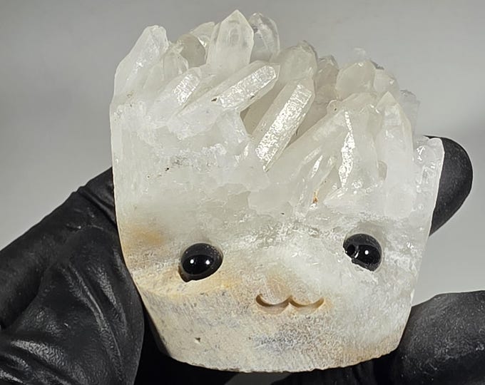 Clear Quartz Cluster Pet Rock Carving