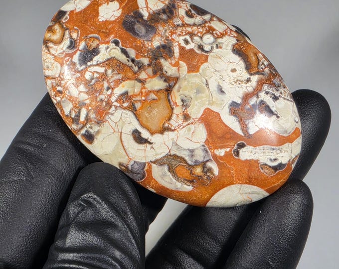 Money Agate Palm Stone