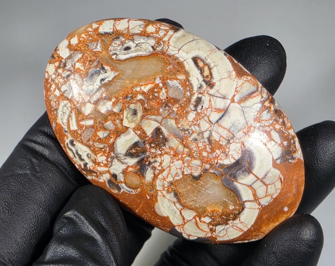 Money Agate Palm Stone