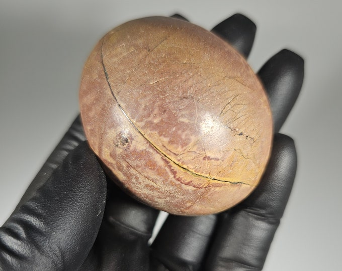 Cherry Creek Jasper Palm Stone *Imperfect