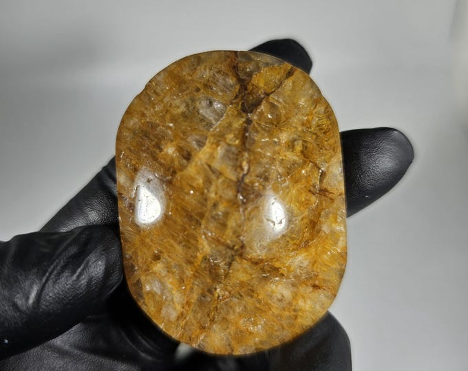 Golden Healer Palm Stone