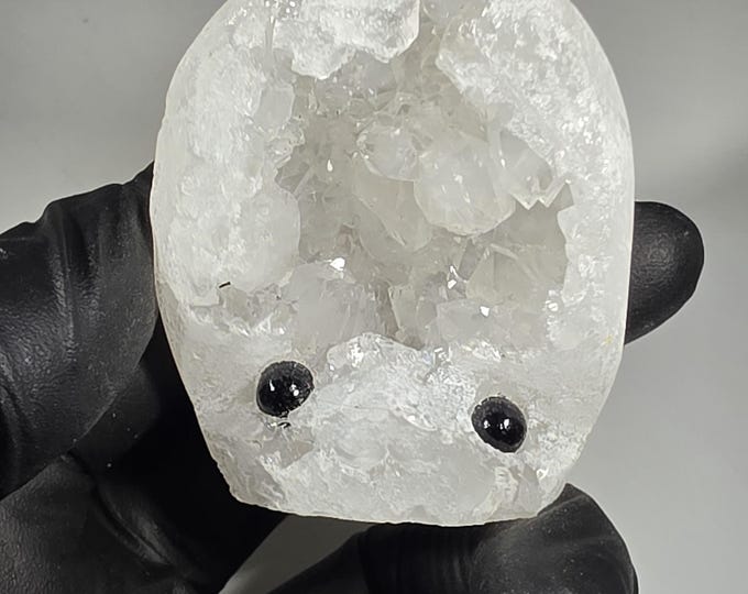 Druzy Geode Pet Rock Carving