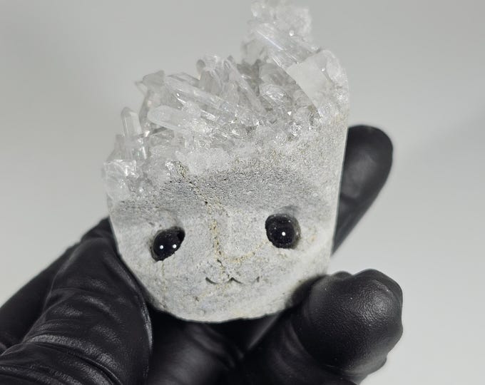 Clear Quartz Cluster Pet Rock Carving