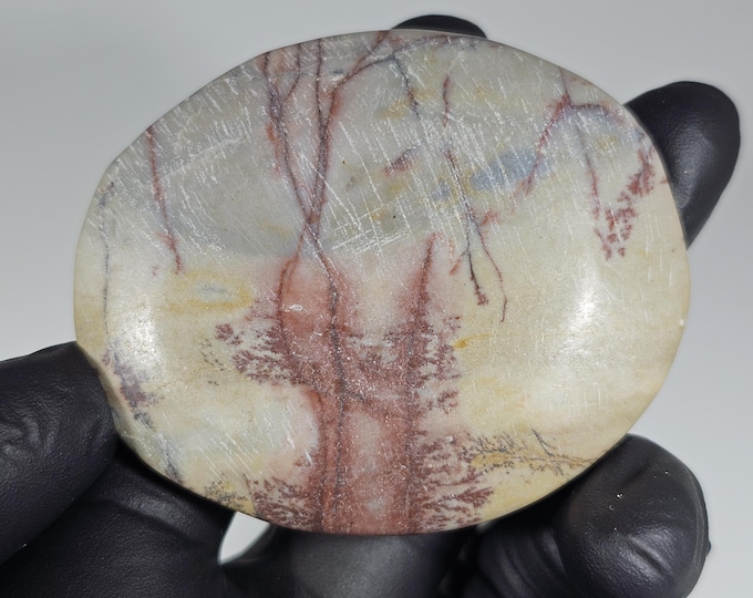 Picture Jasper Palm Stone *Imperfect