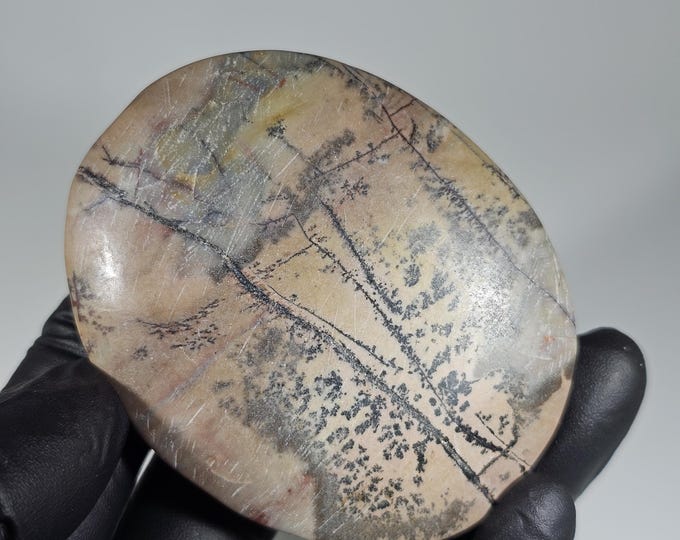 Picture Jasper Palm Stone *Imperfect