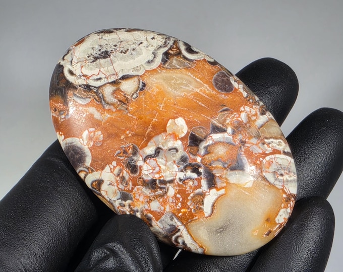 Money Agate Palm Stone