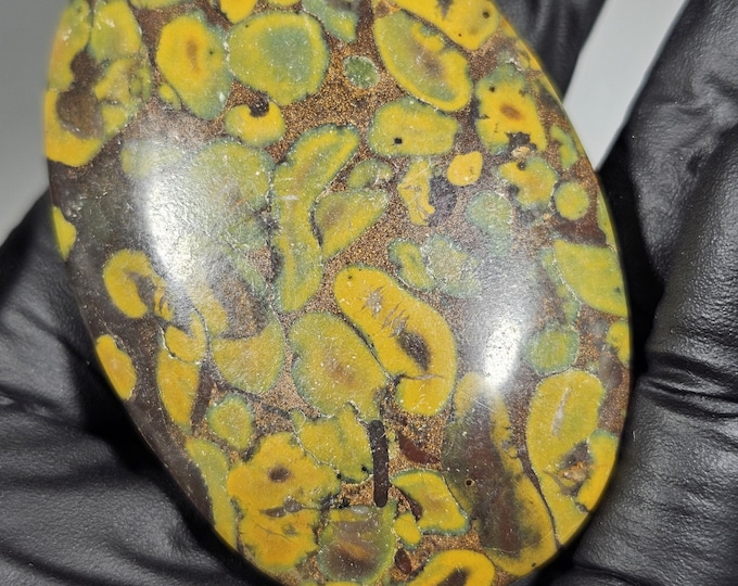 Ajooba Jasper Palm Stone Fruit Jasper