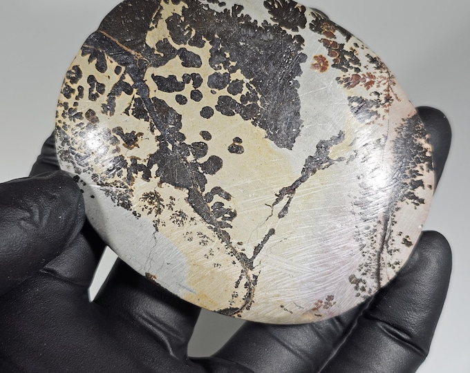 Picture Jasper Palm Stone *Imperfect