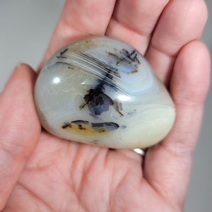 Dendritic Agate Palm Stone