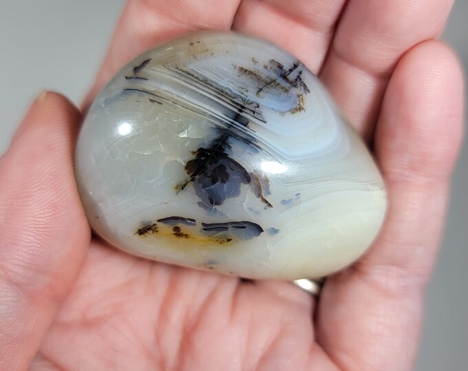 Dendritic Agate Palm Stone