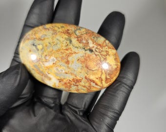 Crazy Lace Agate Palm Stone