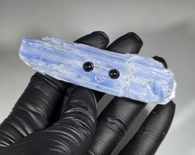 Kyanite Pet Rock Carving