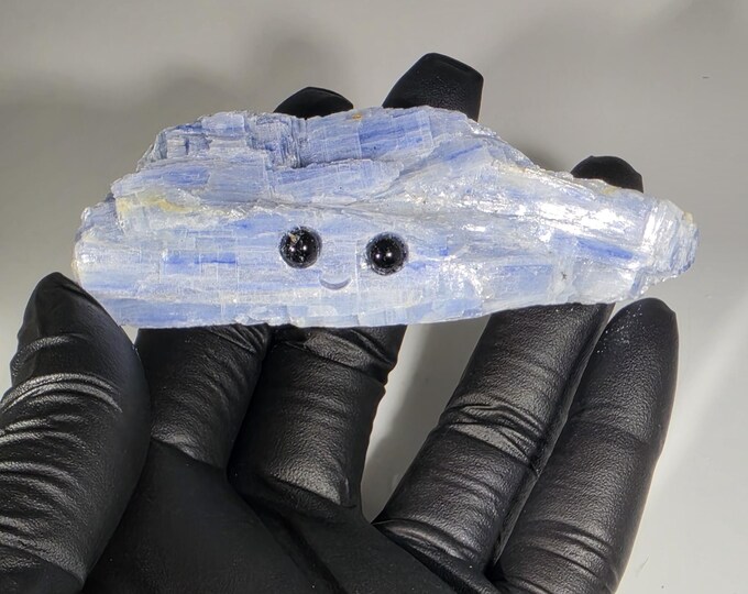 Kyanite Pet Rock Carving