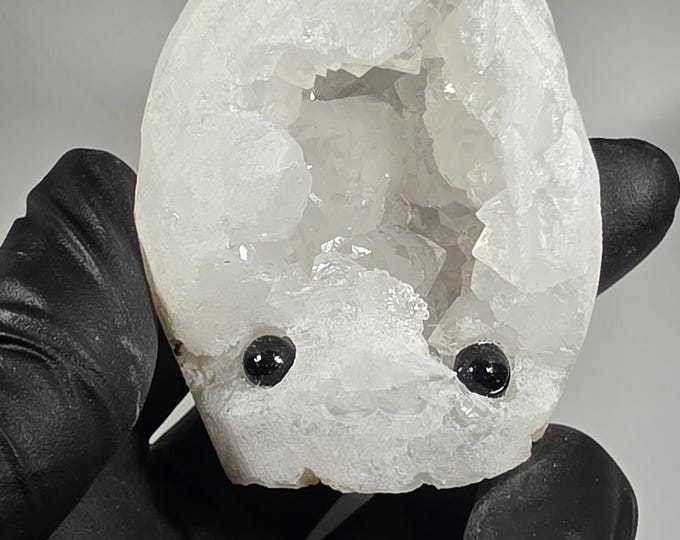 Druzy Geode Pet Rock Carving
