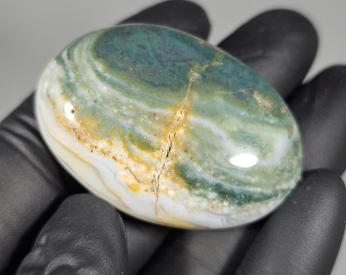 Colorful Ocean Jasper Palm Stone