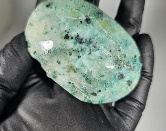 Phoenix Stone Palm Stone