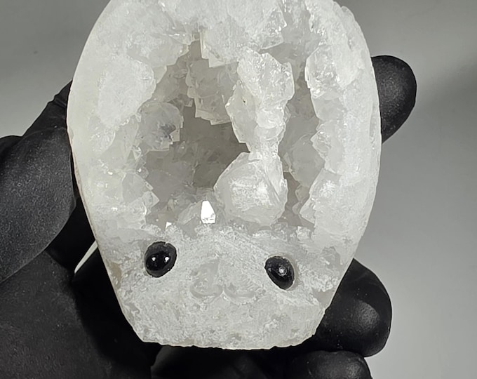 Druzy Geode Pet Rock Carving
