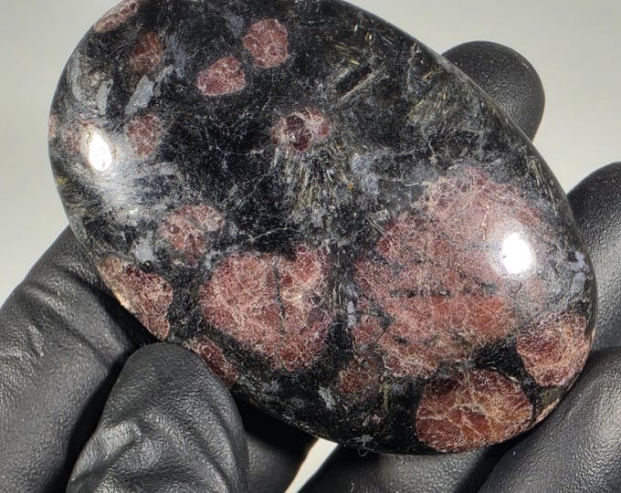 Garnet in Arfvedsonite Palm Stone